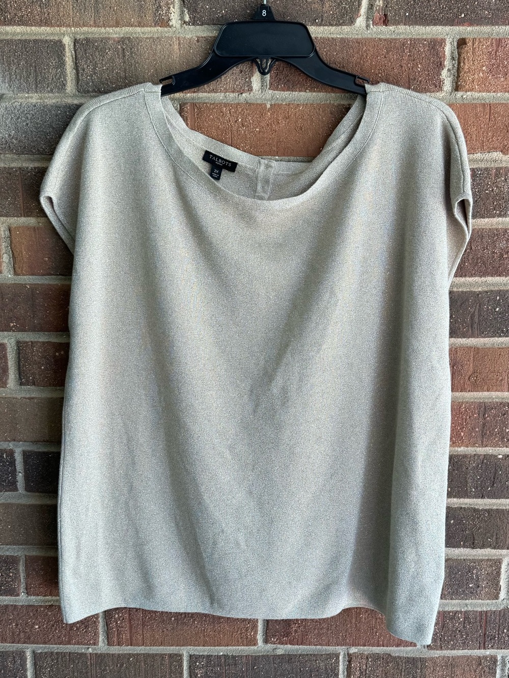 Talbots Metallic Beige + Gold Shimmery Knit Top